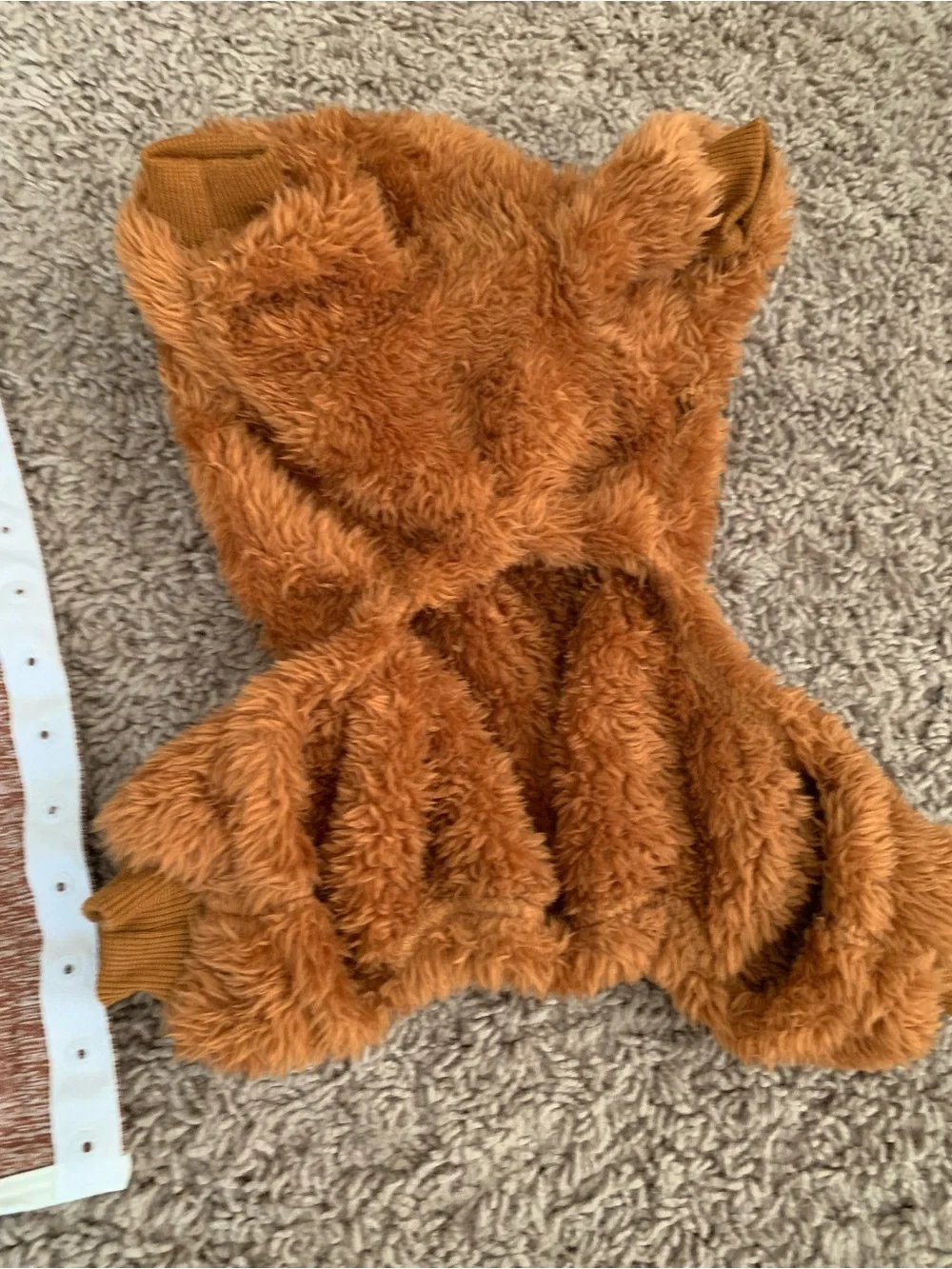 Dog Clothes Accessories Set of 3